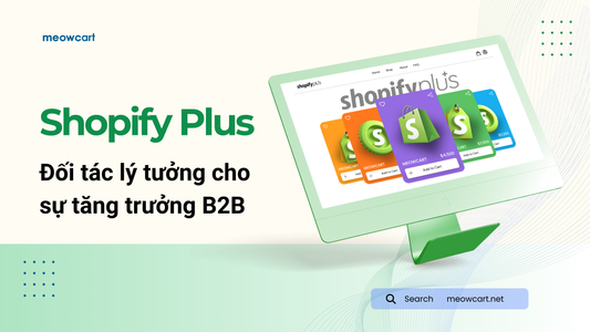Shopify Plus: Đối tác lý tưởng cho sự tăng trưởng B2B tại Việt Nam
