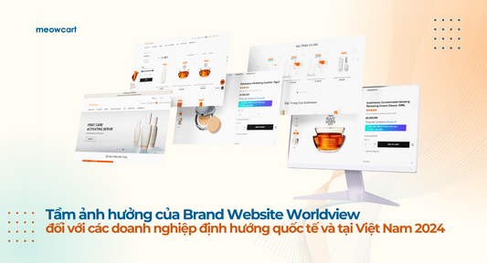 Ảnh hưởng Brand Website Worldview với Doanh Nghiệp 2025