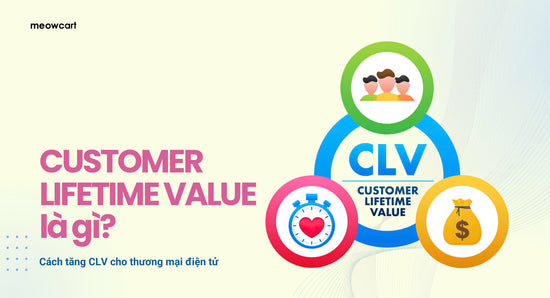 What is Customer Lifetime Value? How to increase CLV for e-commerce ...